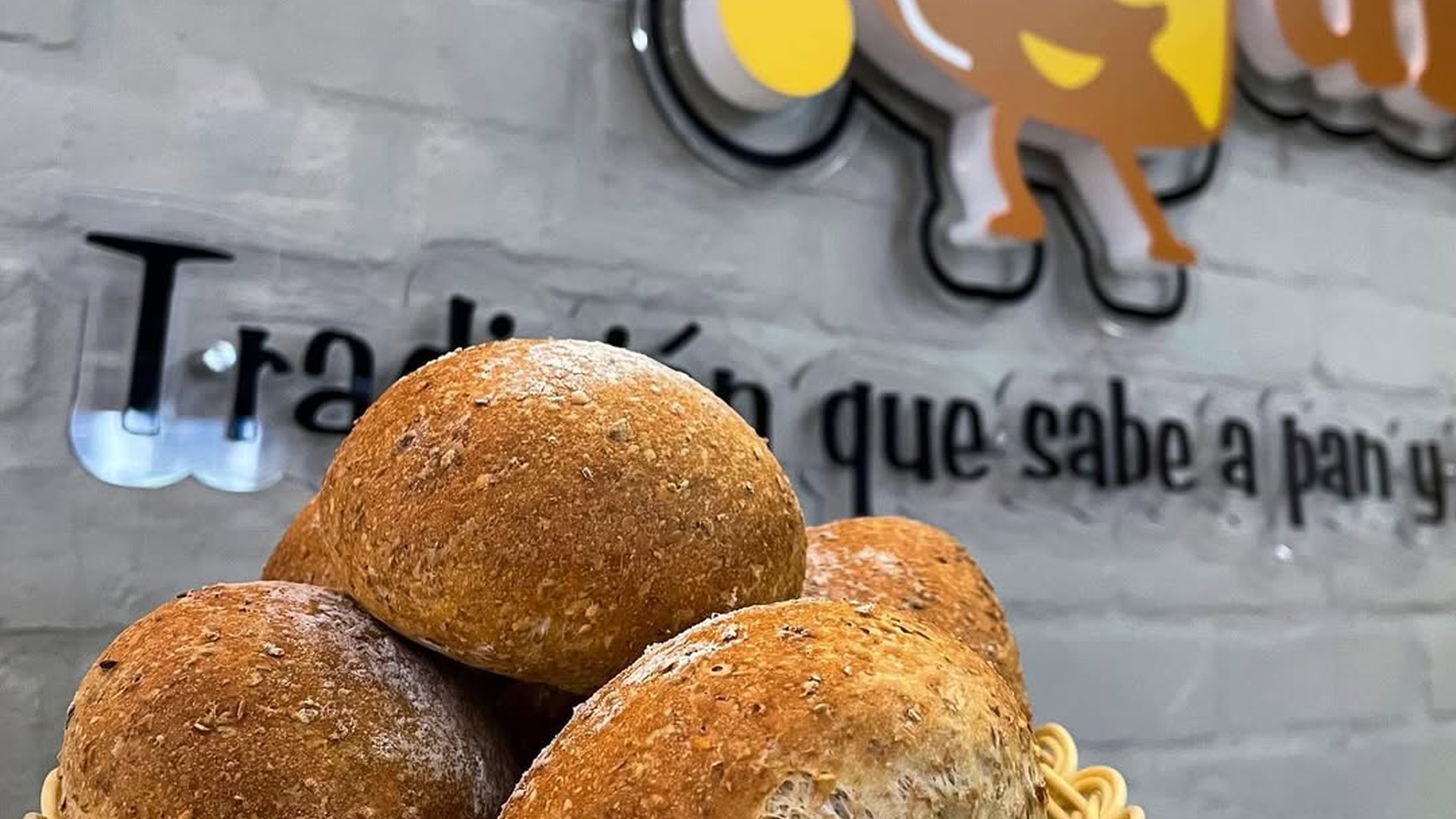 mogolla_semillas_1920x1080